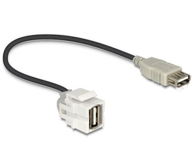 Delock Keystone Jack: USB2.0,250° gewinkelt