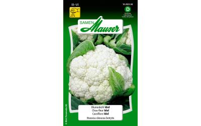 Blumenkohl Idol