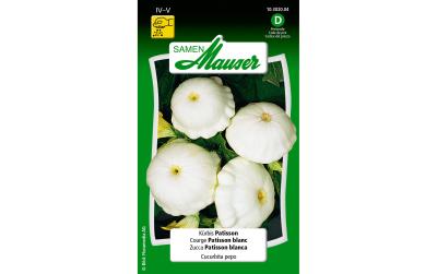 Kürbis Patisson