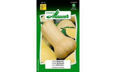 Kürbis Butternut