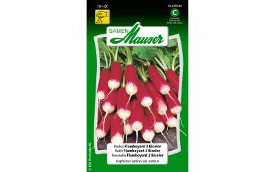 Radies Flamboyant 2 Bicolor