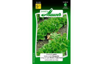 Schnittsalat Gelber
