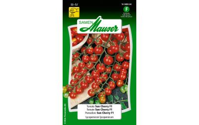 Tomate Sun Cherry F1