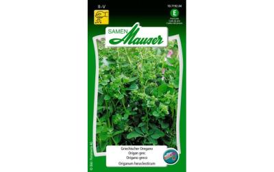 Griechischer Oregano