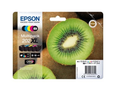 Tinte Epson 202 XL/C13T02G74010 Rainbowkit