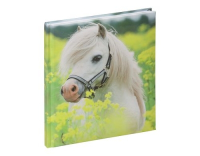 Pagna Poesiealbum kleines Pony