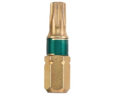 Diamant Schraubendreher-Bit1/4T20