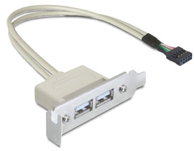Delock Slotblech USB 2.0 Pin Header