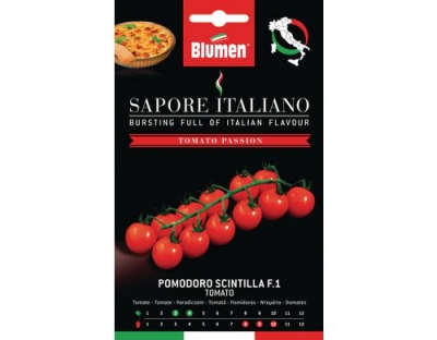 Blumen Tomate Scintilla F1