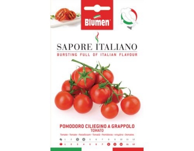 Blumen Tomate Ciliegino a