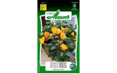Samen Mauser Mohicano Paprika