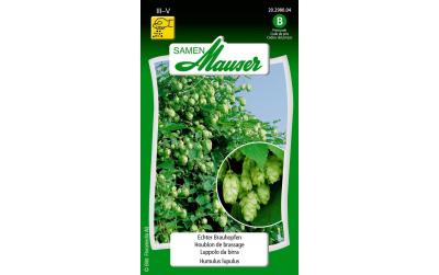 Samen Mauser Echter Brauhopfen