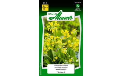 Samen Mauser Echte Schlüsselblume