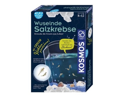 Wuselnde Salzkrebse