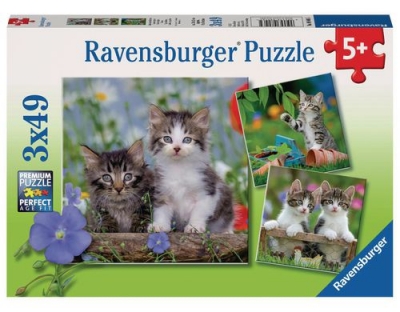 Puzzle Süsse Samtpfötchen