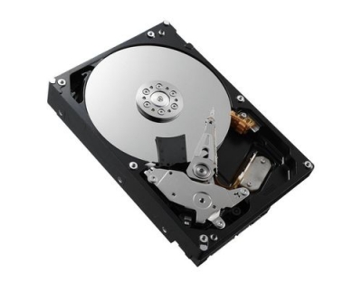 HD HP 6G 3.5 SATA-III 1TB Entry