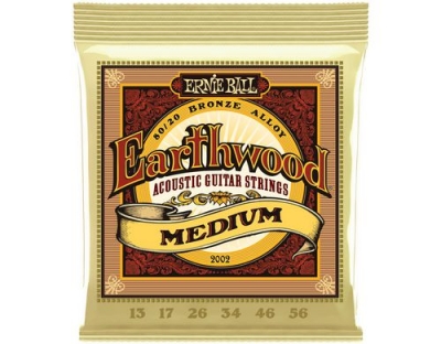 Ernie Ball 2002 Earthwood Bronze