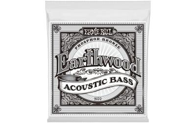 Ernie Ball 2070 Earthwood