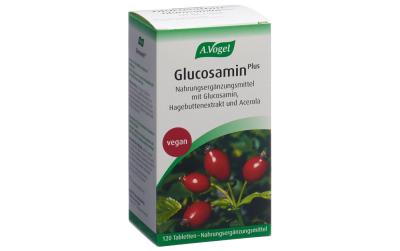 VOGEL Glucosamin Plus Tabl m Hagebuttenext