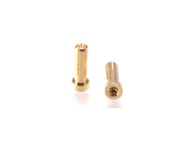 EP 90° 5mm Goldstecker für Hardcase-Pack