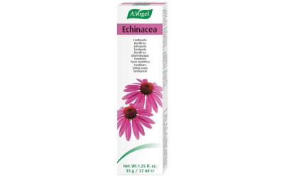 VOGEL Echinacea Zahnpasta