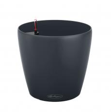 Lechuza CLASSICO Color 21
