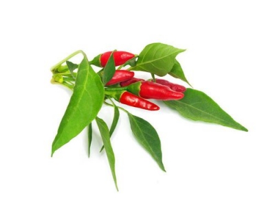 Click and Grow Smart Garden Plant Pod
