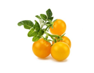 Click and Grow Smart Garden Plant Pod