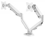 Fellowes Doppel-Monitorarm ESI Eppa