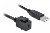 Delock Keystone USB2.0 C-Buchse - A-Stecker