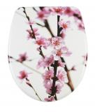 diaqua WC-Sitz NICE Sakura