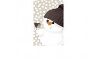 B+C Taschentücher Snowfriends