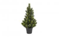 Botanic-Haus Tannenbaum im Topf