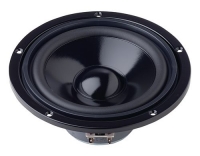 Visaton HiFi-Tieftöner W 170 S, 8 Ohm