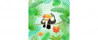B+C Servietten Tucans