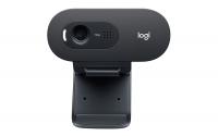 Logitech Webcam C505e HD Bulk