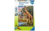 Puzzle Bunte Savanne