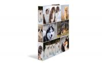 Herma Ringbuch A4 3.5 cm Hunde 2D