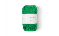 RICO Wolle Creative Ricorumi DK, grün