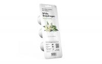 Click and Grow White Snapdragon
