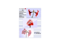 Olympia Laminierfolien DIN A6