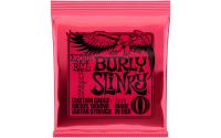 Ernie Ball 2226 Slinky Nickel