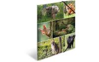 Herma Sammelmappe A4 Waldtiere