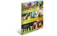 Herma Sammelmappe A4 Pferdewiese