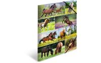 Herma Sammelmappe A3 Pferdewiese