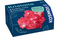 Rote Kristalle selbst züchten