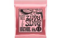 Ernie Ball 2217 Slinky Nickel