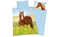 Klaus Herding Bettwäscheset Pferd