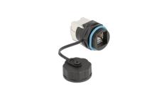 Delock Kabelverbinder RJ45 Buchse, blau