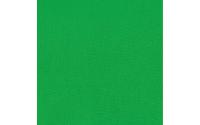 Hintergrund, Stoff, 2,95 x 6 m, Greenscreen